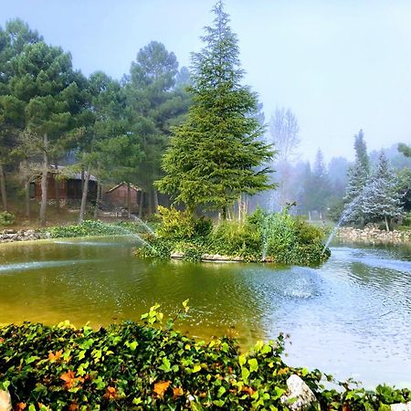 Chalet Esmeralda 3 D Y 2 Banos Zafiro Lagunazo Parque Natural Rio Mundo Riópar المظهر الخارجي الصورة