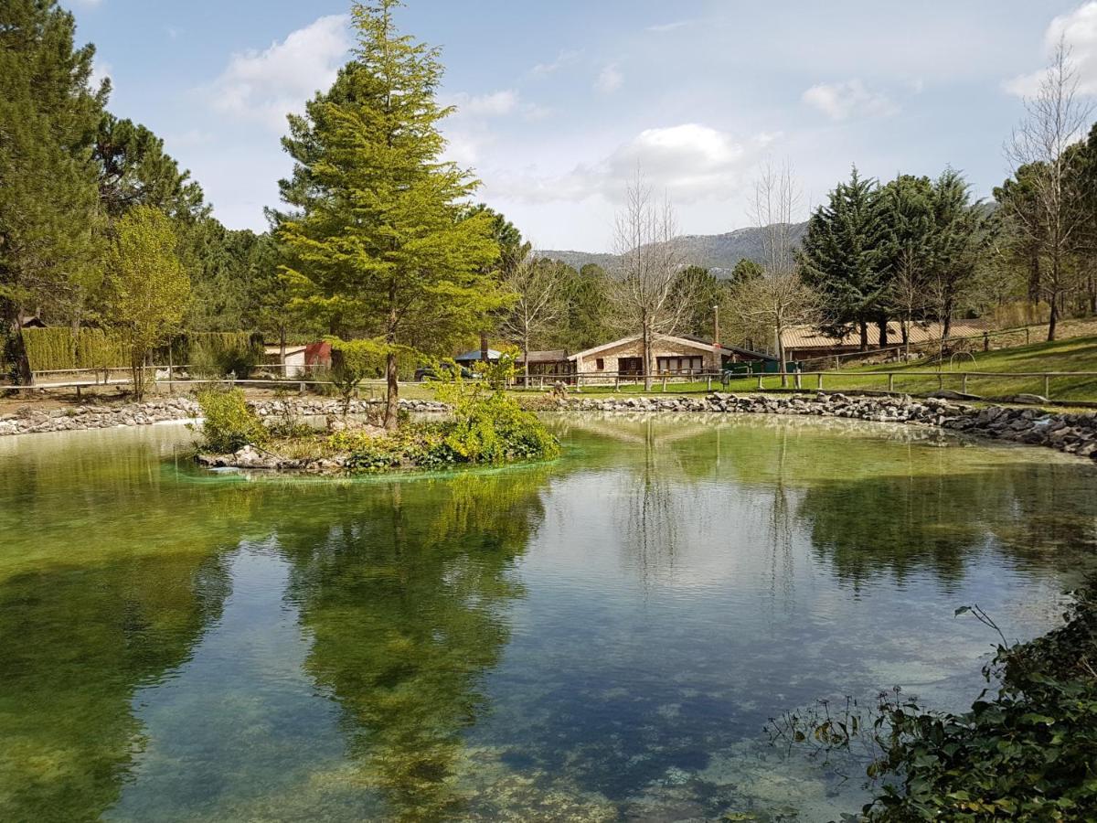 Chalet Esmeralda 3 D Y 2 Banos Zafiro Lagunazo Parque Natural Rio Mundo Riópar المظهر الخارجي الصورة