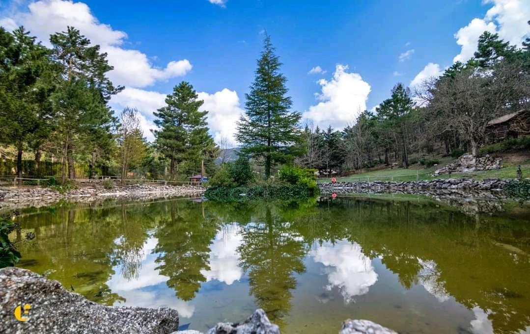 Chalet Esmeralda 3 D Y 2 Banos Zafiro Lagunazo Parque Natural Rio Mundo Riópar المظهر الخارجي الصورة