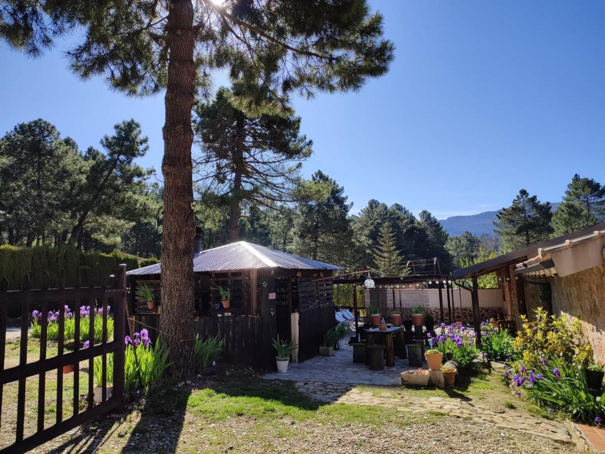 Chalet Esmeralda 3 D Y 2 Banos Zafiro Lagunazo Parque Natural Rio Mundo Riópar المظهر الخارجي الصورة