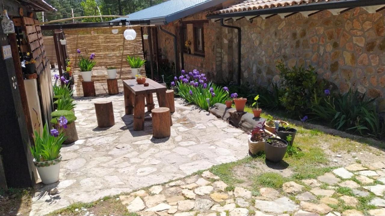 Chalet Esmeralda 3 D Y 2 Banos Zafiro Lagunazo Parque Natural Rio Mundo Riópar المظهر الخارجي الصورة