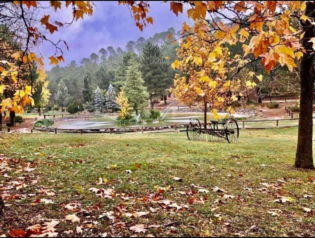 Chalet Esmeralda 3 D Y 2 Banos Zafiro Lagunazo Parque Natural Rio Mundo Riópar المظهر الخارجي الصورة